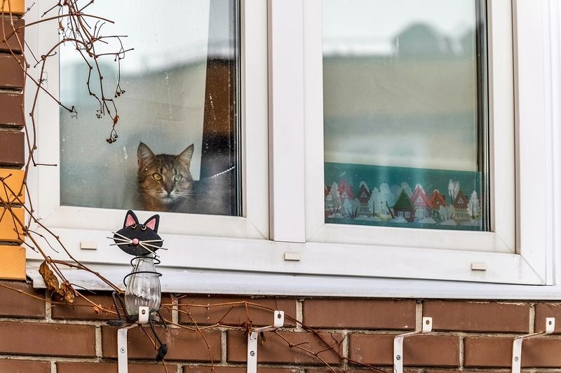 В ожидании марта фото превью