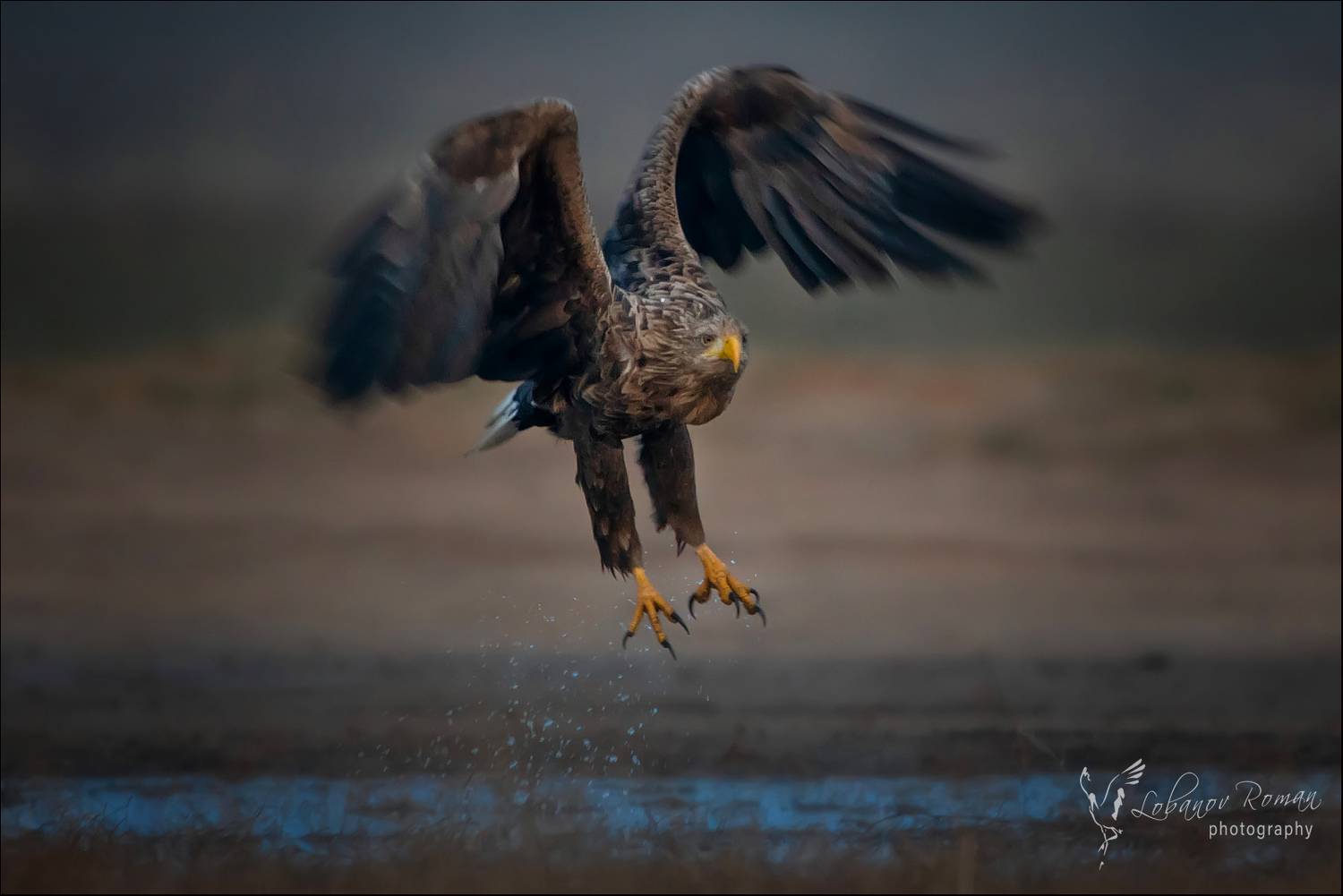 , Лобанов Роман