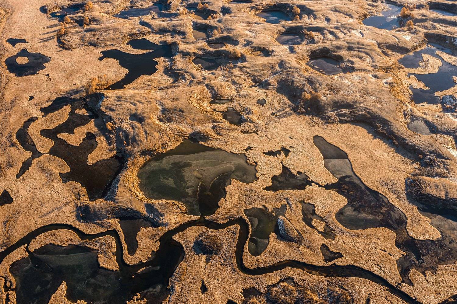 , Евгений Важенин