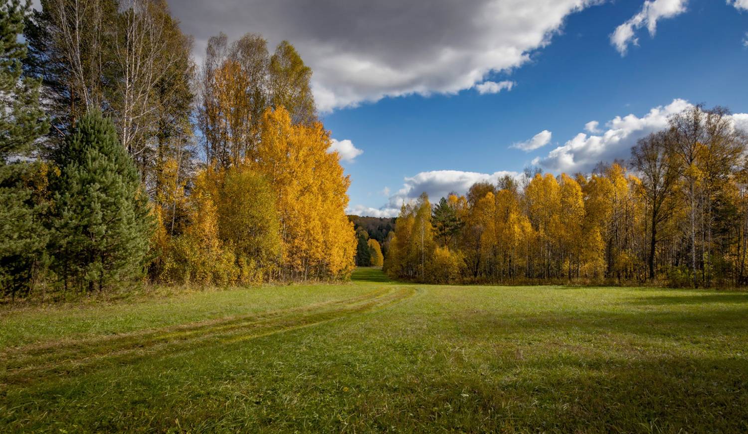 , Алексей Хахлов