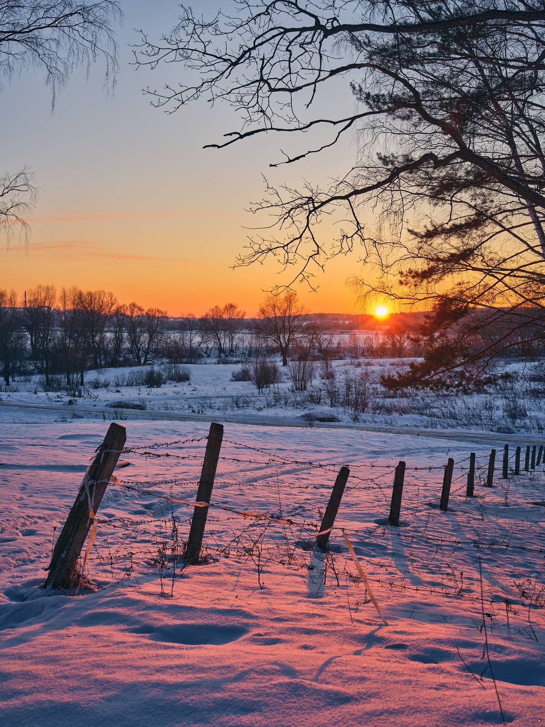 , Дмитрий Дыбов