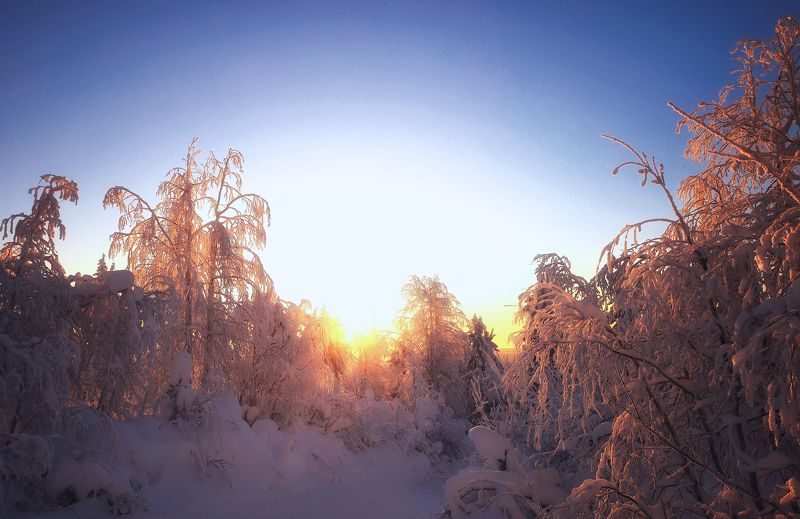 На Урале новогоднем фото превью