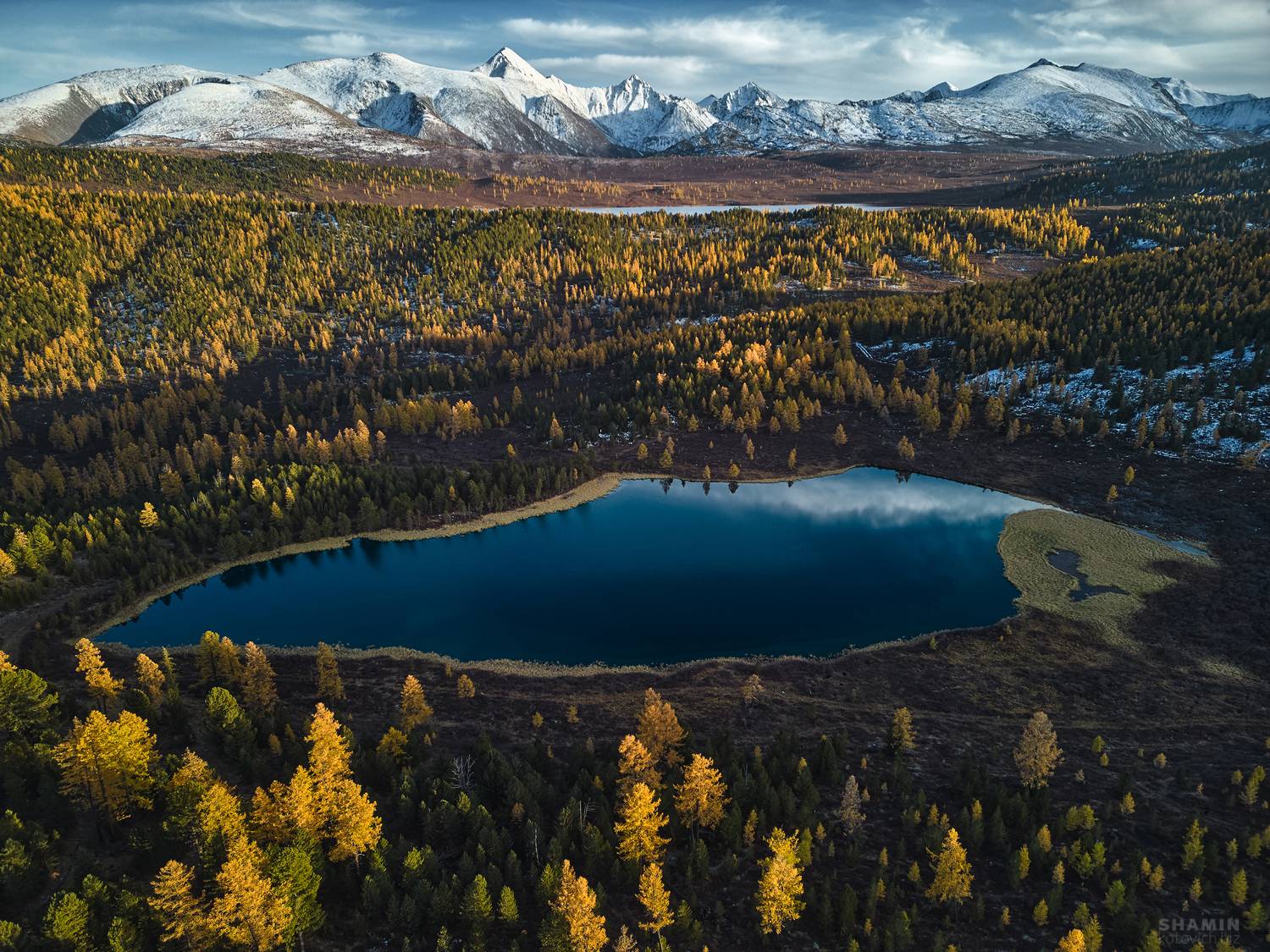 , Константин Шамин