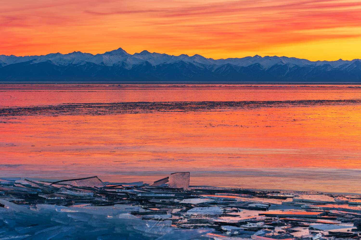 , Буянов Илья