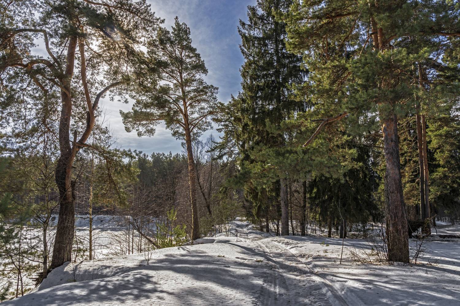 , Шитов Александр