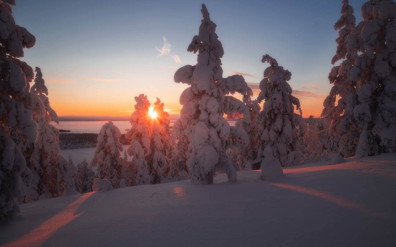 , Истомин Виталий