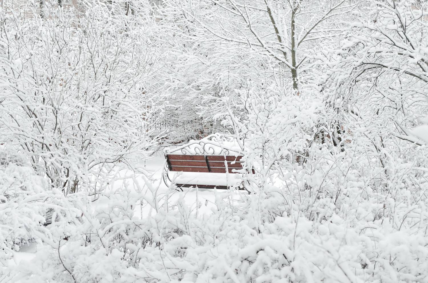 , Сергей Клапишевский