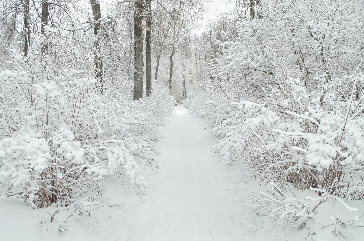 , Сергей Клапишевский