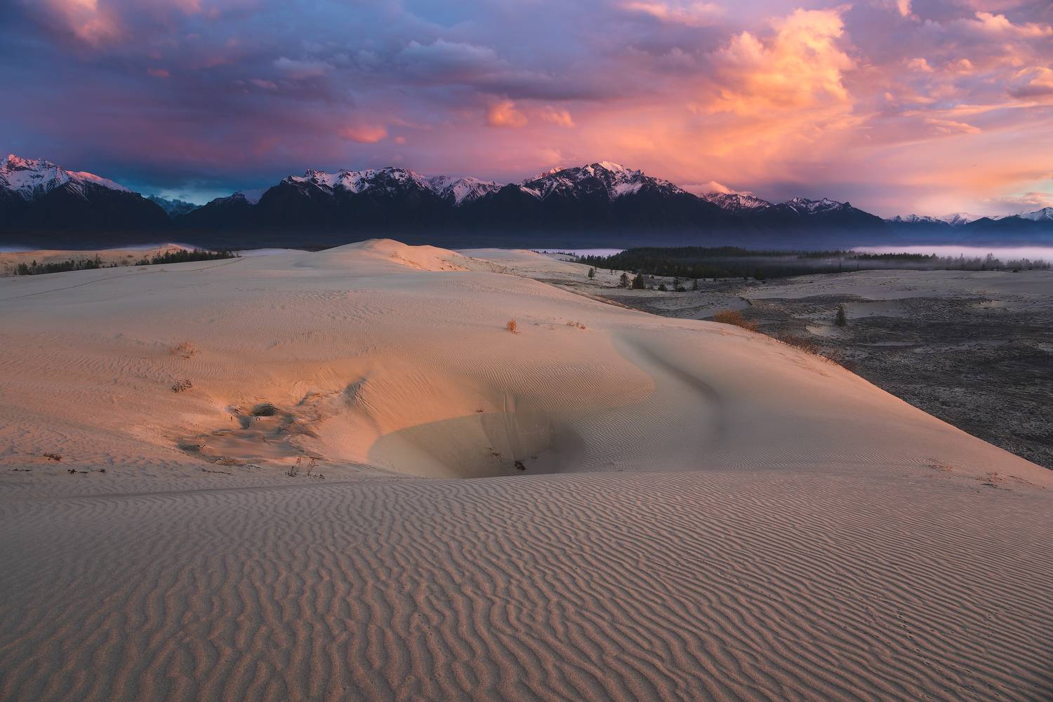 горы, пустыня, песок, барханы, дюна, чарскиепески, лес, рассвет, туман, mountains, desert, sand, dune, forest, dawn, fog, Дмитрий