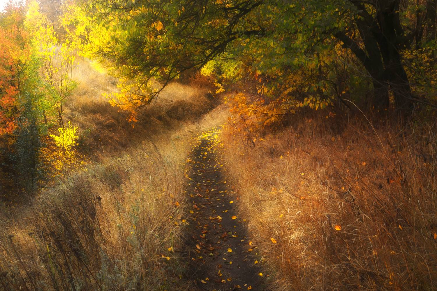 , Лысенко Сергей