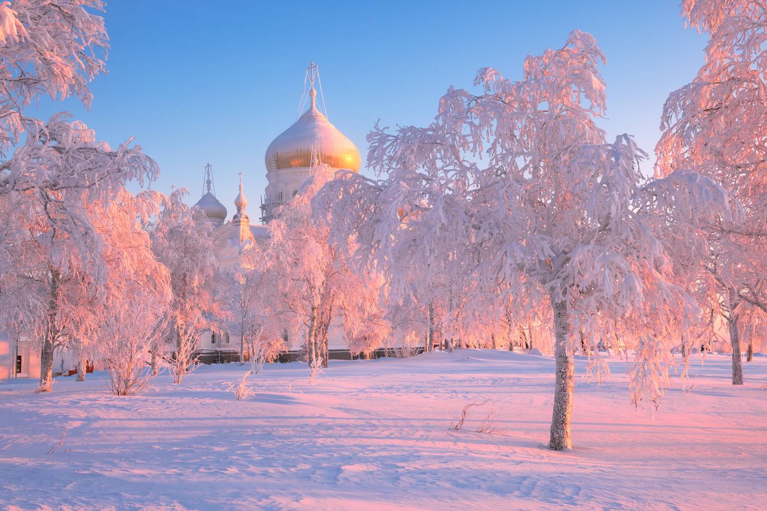 , Максим Евдокимов