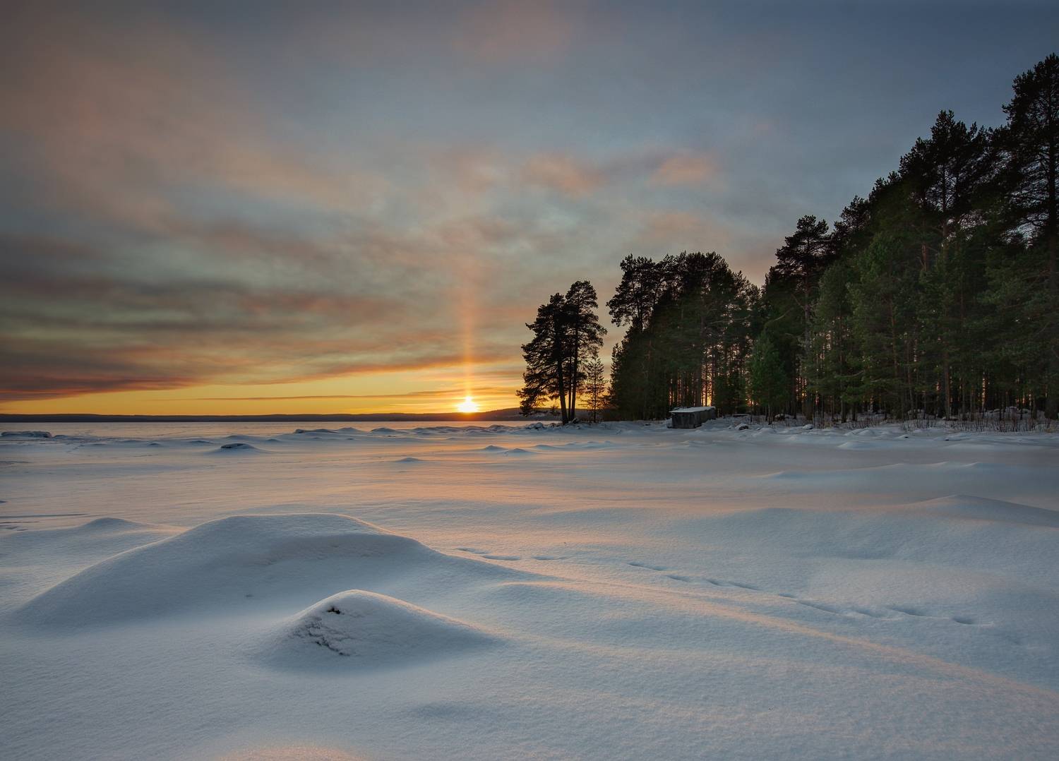 , Шишпанов Игорь