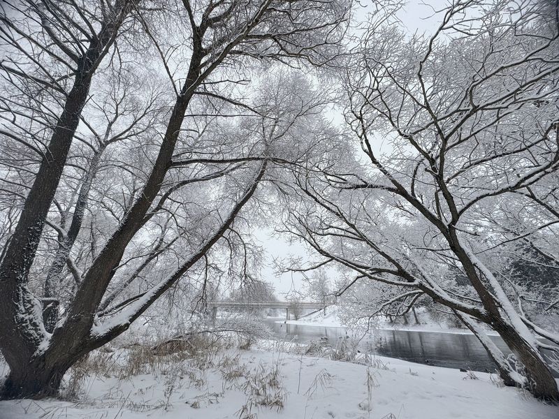 Зимняя сказка фото превью