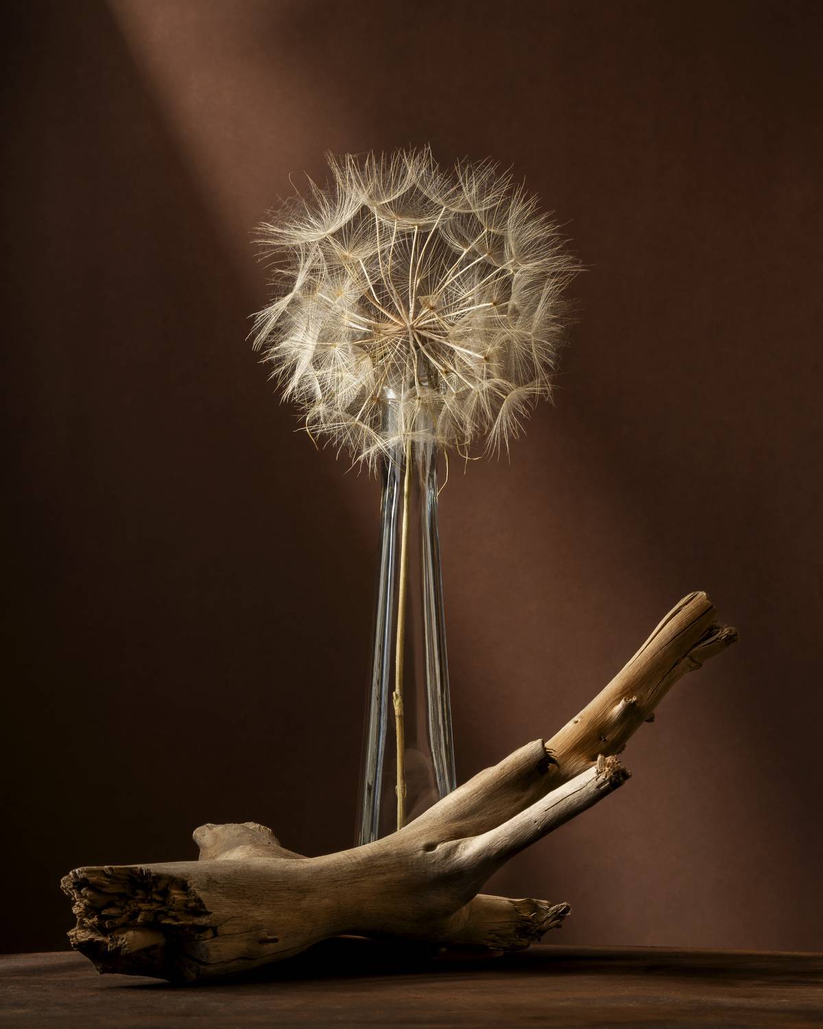 art, design, objects, light, standing, studio, still life, , Anna Ilieva-Alikaj