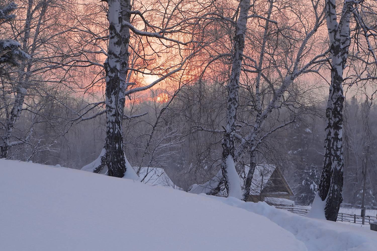 , Евгений Зинов