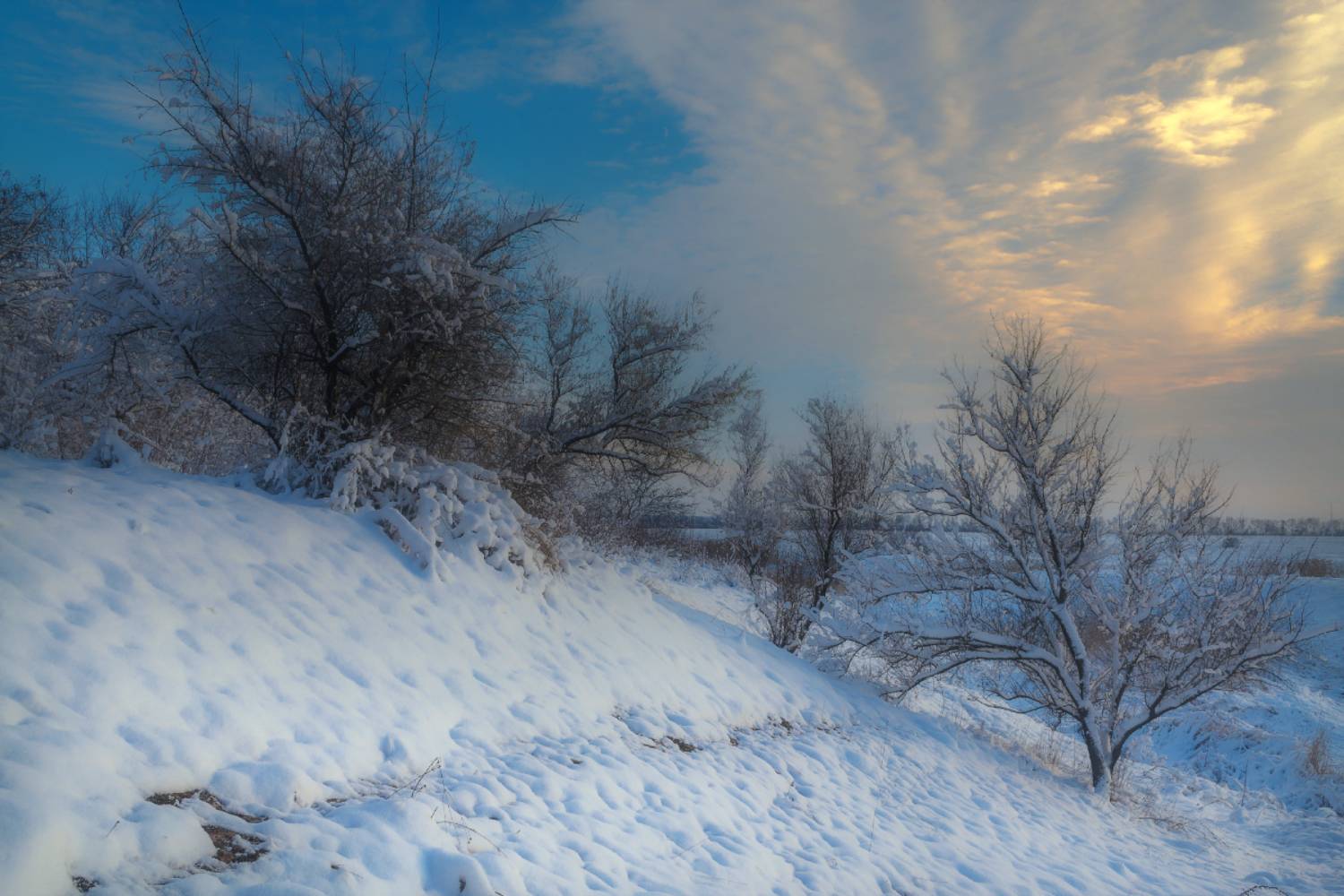 , Лысенко Сергей