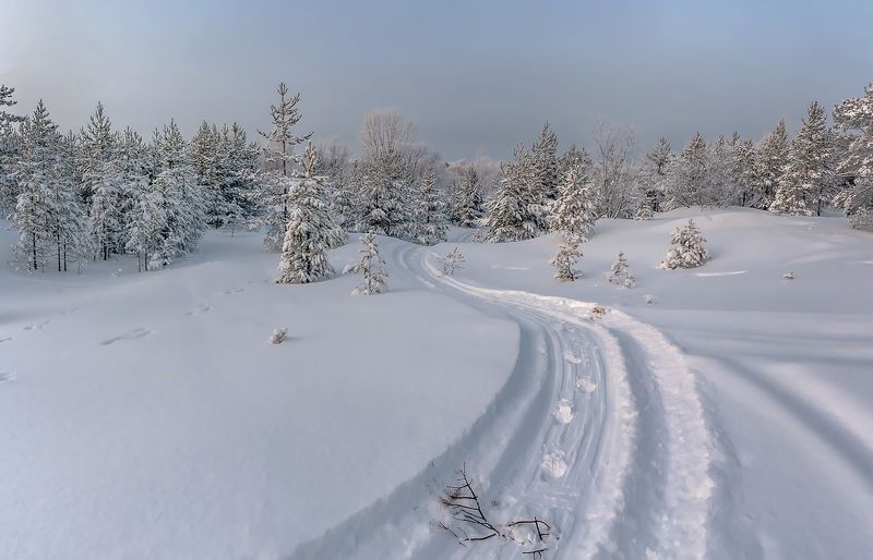 В студёную зимнюю пору. фото превью