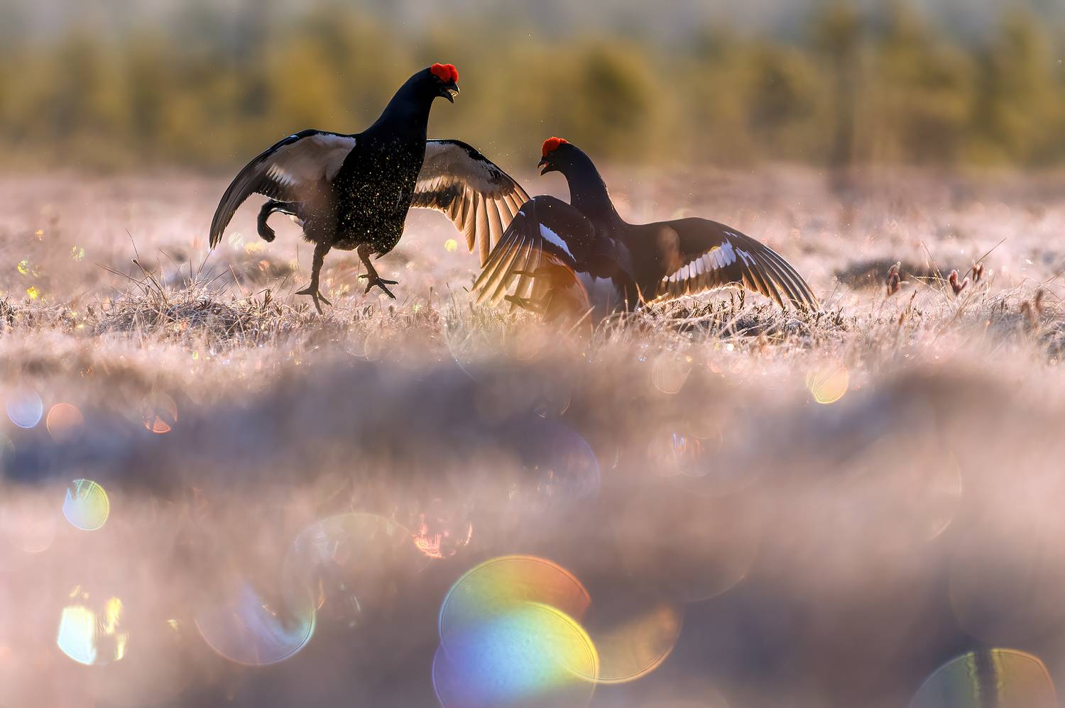 , Калинин Михаил