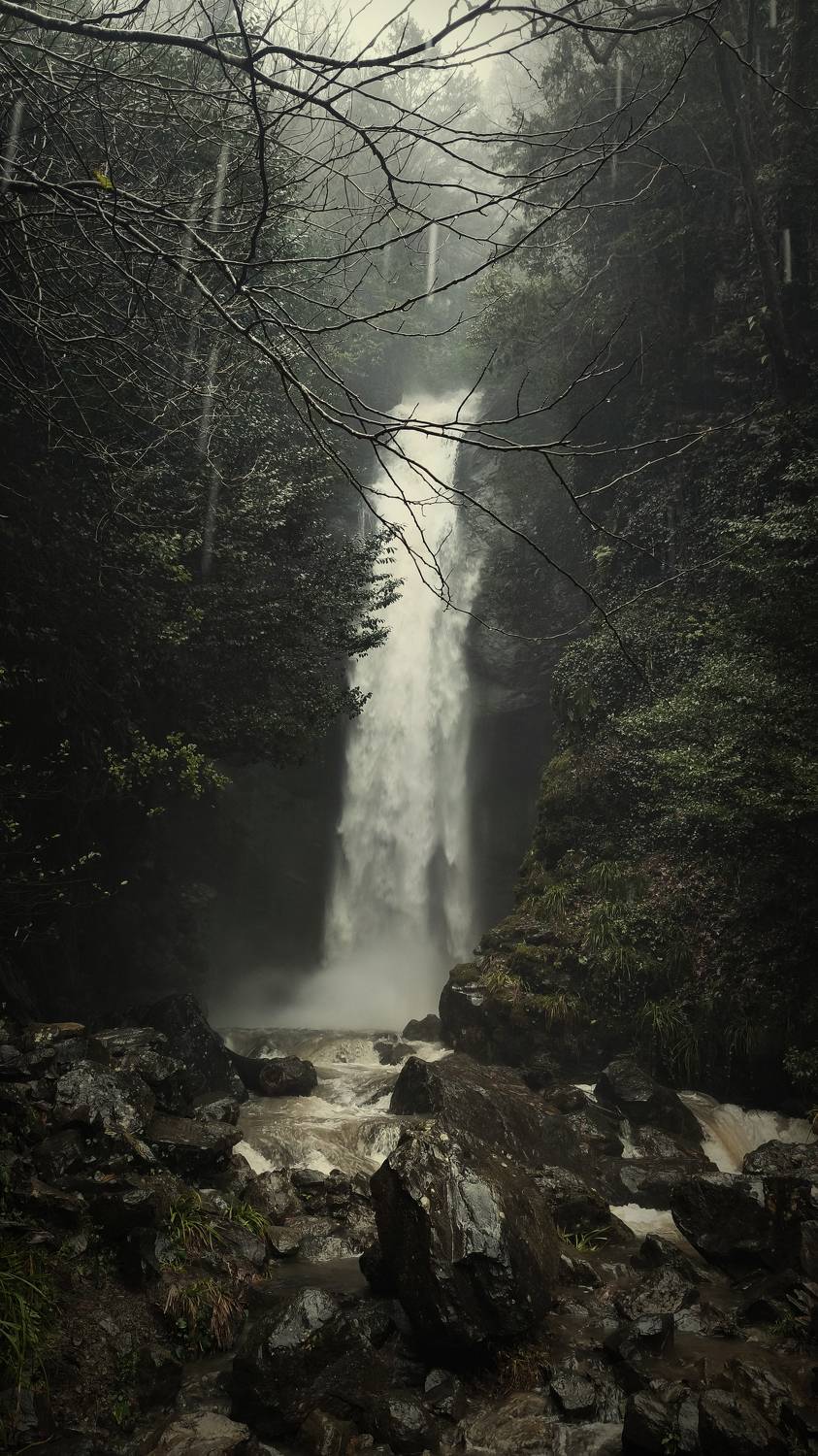 пейзаж, природа, водопад, Абхазия, вода, landscape, wood, forest, waterfall, water, nature, Ефимов Александр