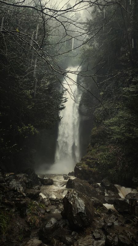 пейзаж, природа, водопад, Абхазия, вода, landscape, wood, forest, waterfall, water, nature Witch Wood фото превью