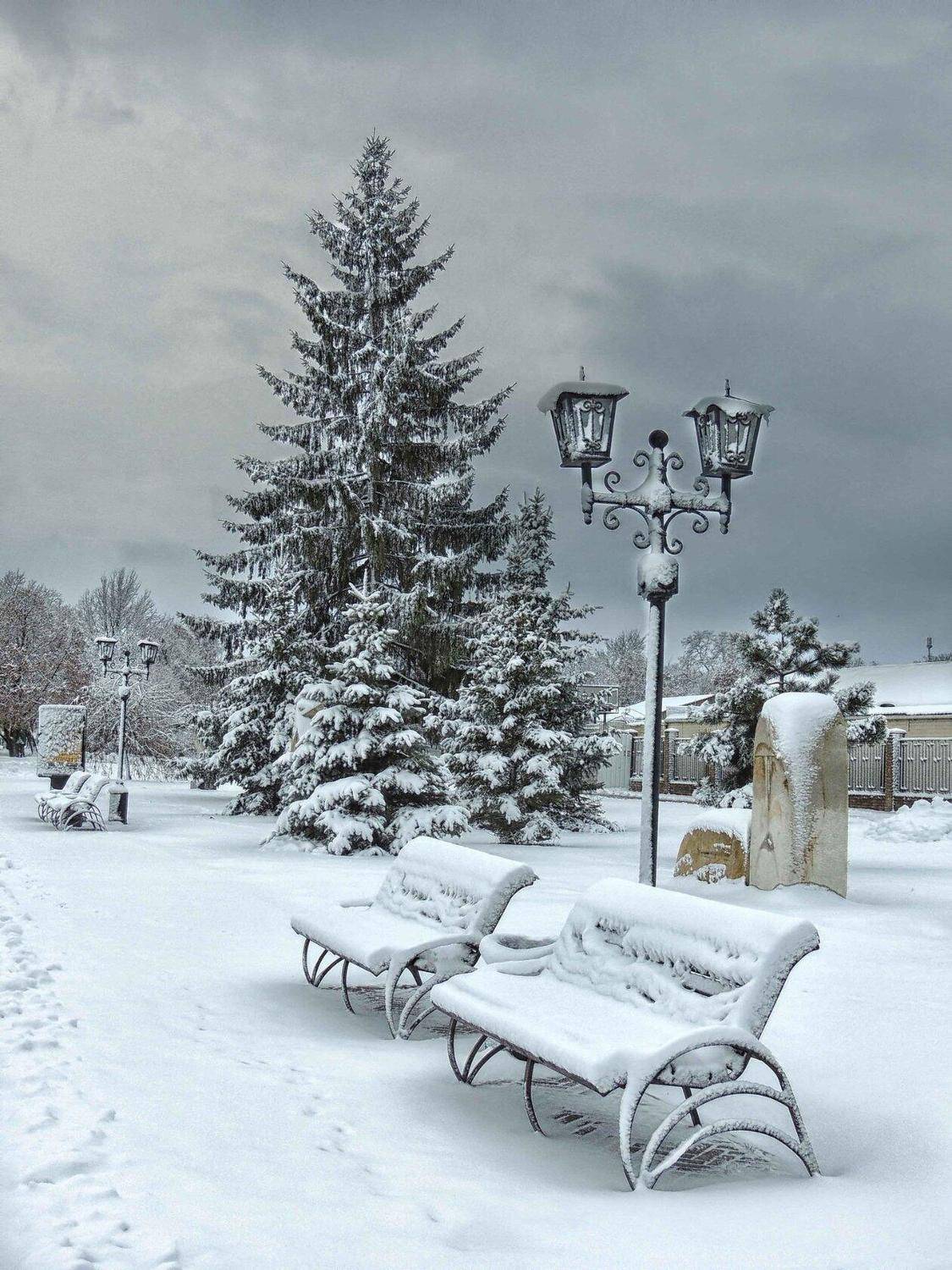 , Савоцкий Роман