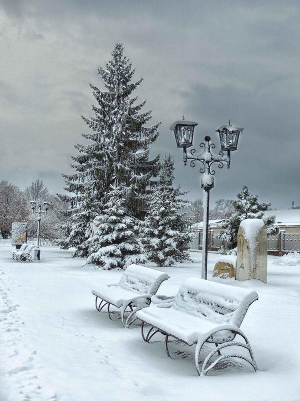 В городском саду фото превью