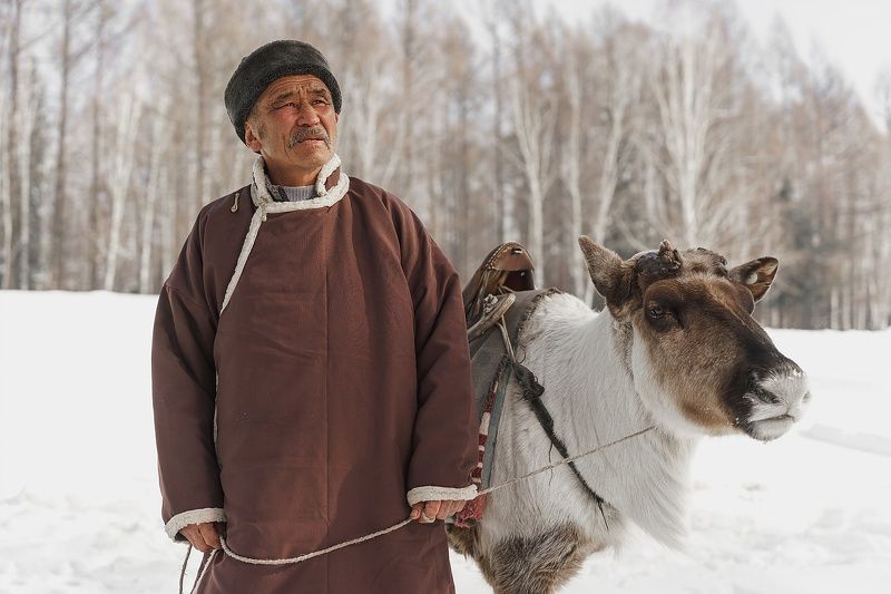 портрет, работа, процесс, деньоленевода, тоджа, тува, оленевод, нерозя Тоджинский оленевод фото превью