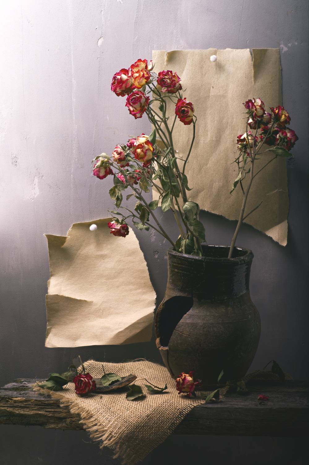 , Максим Вышарь