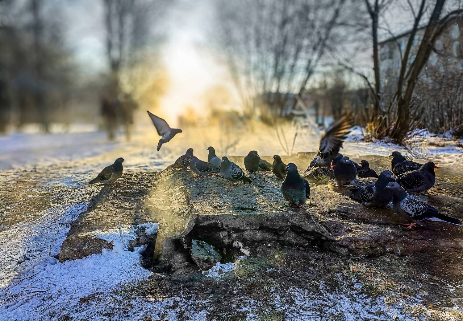 , Васенков Геннадий