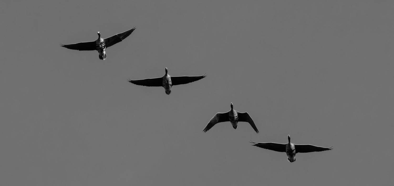 , Савенко Кирилл