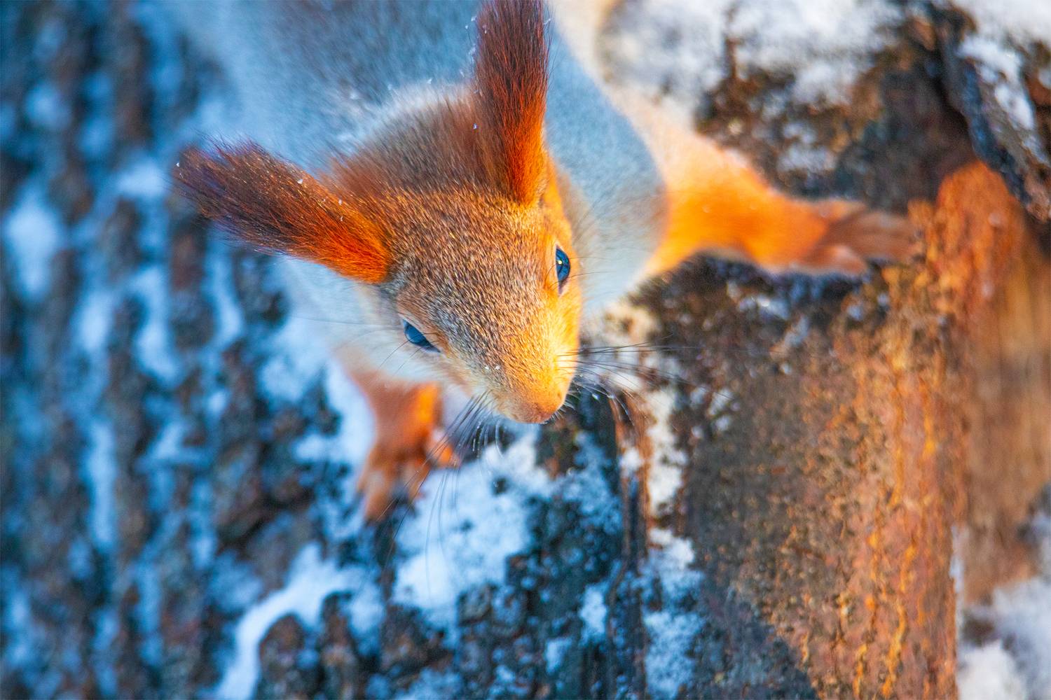 , Чудинин Дмитрий