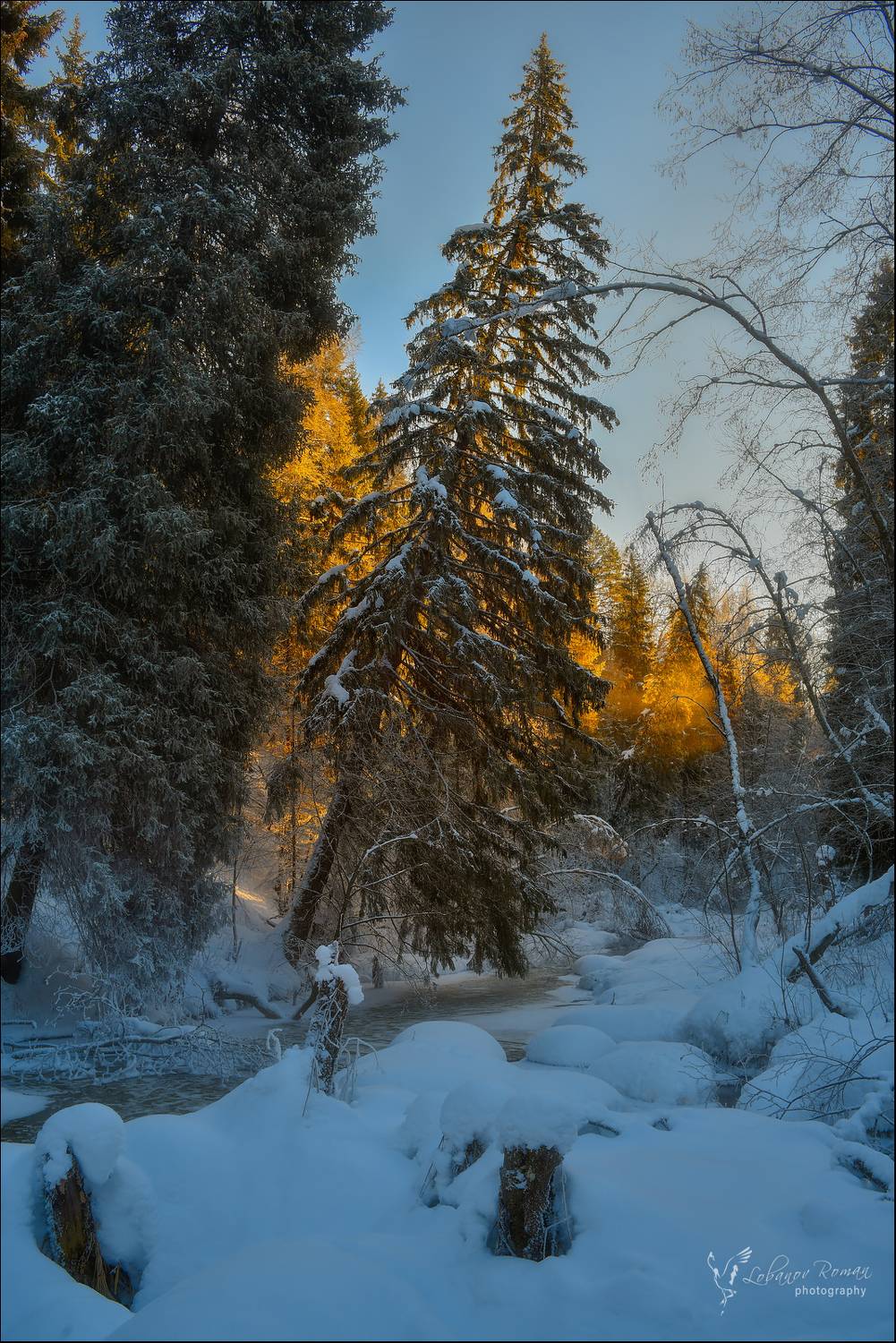 , Лобанов Роман