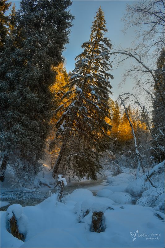 р.Кунья фото превью