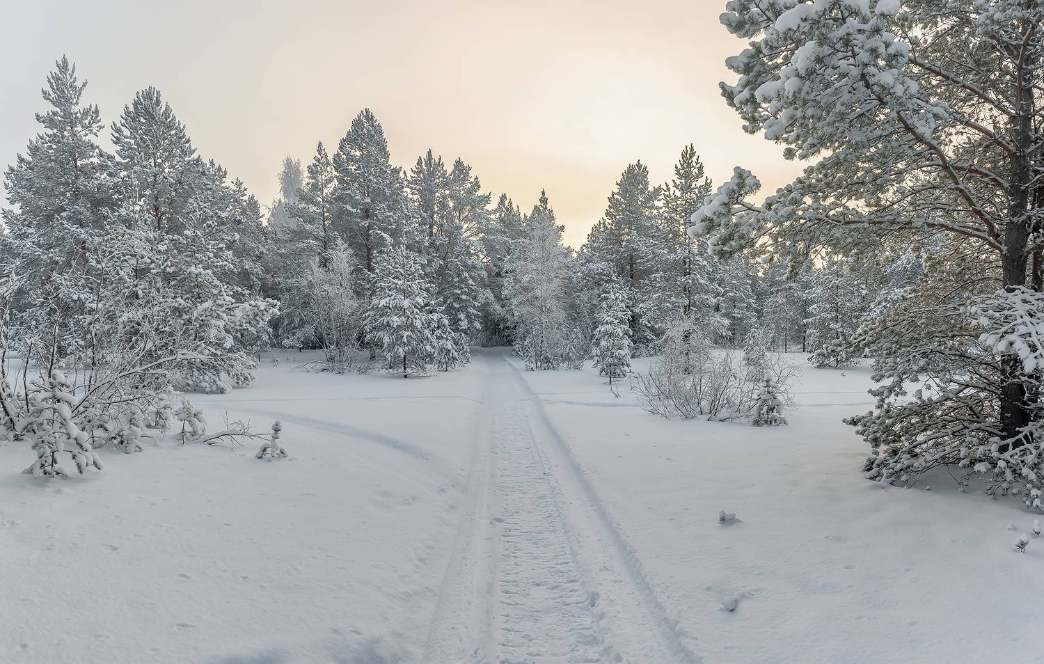 зима, дорога, лес, снег, холод, Анкудинов Леонид