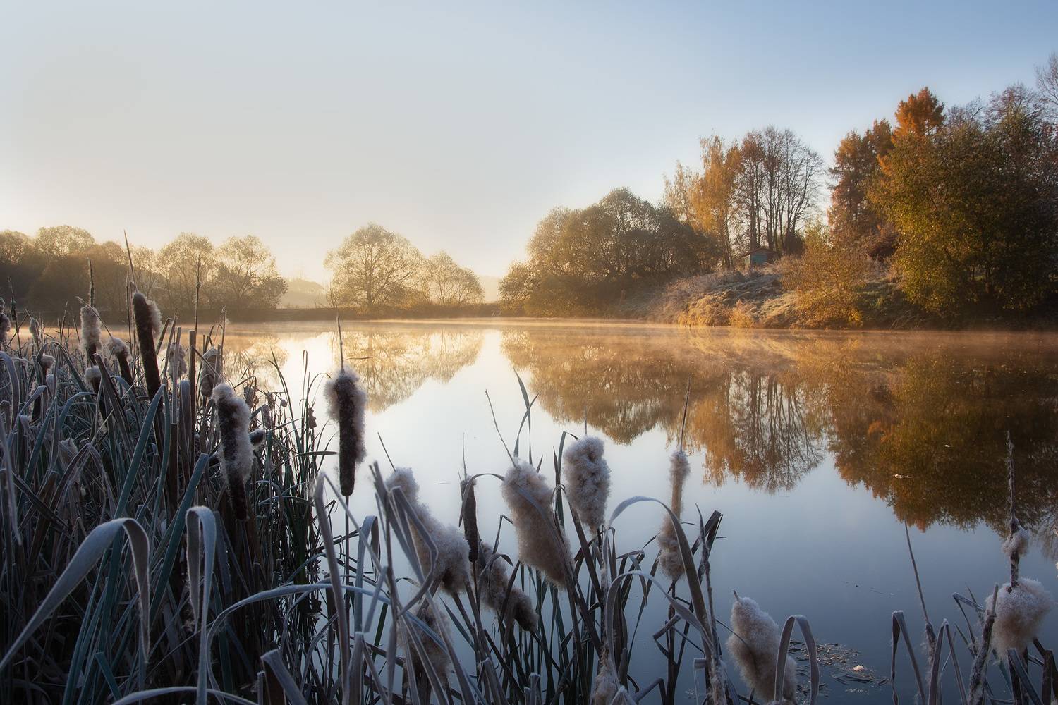 подмосковье, рассвет, озеро, Чавыкина Анастасия