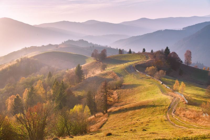 Синевирские холмы фото превью