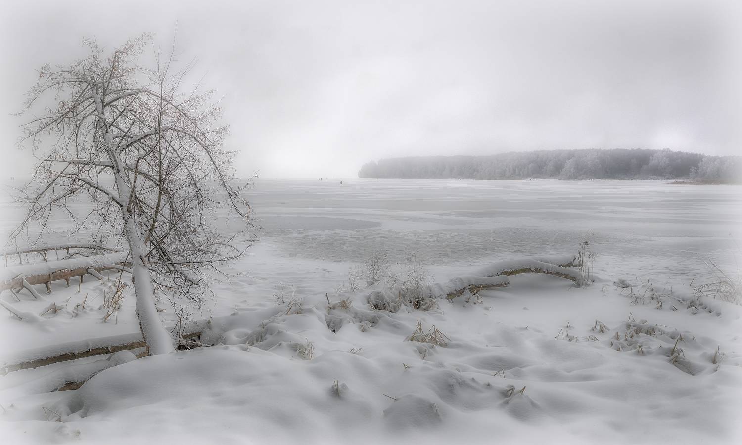 водохранилище, озеро, рыбаки, лес, снег, Сергей Аникин