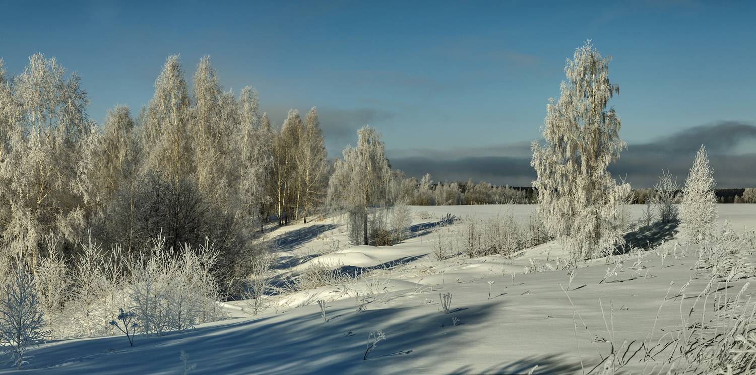 , Алексей Хахлов