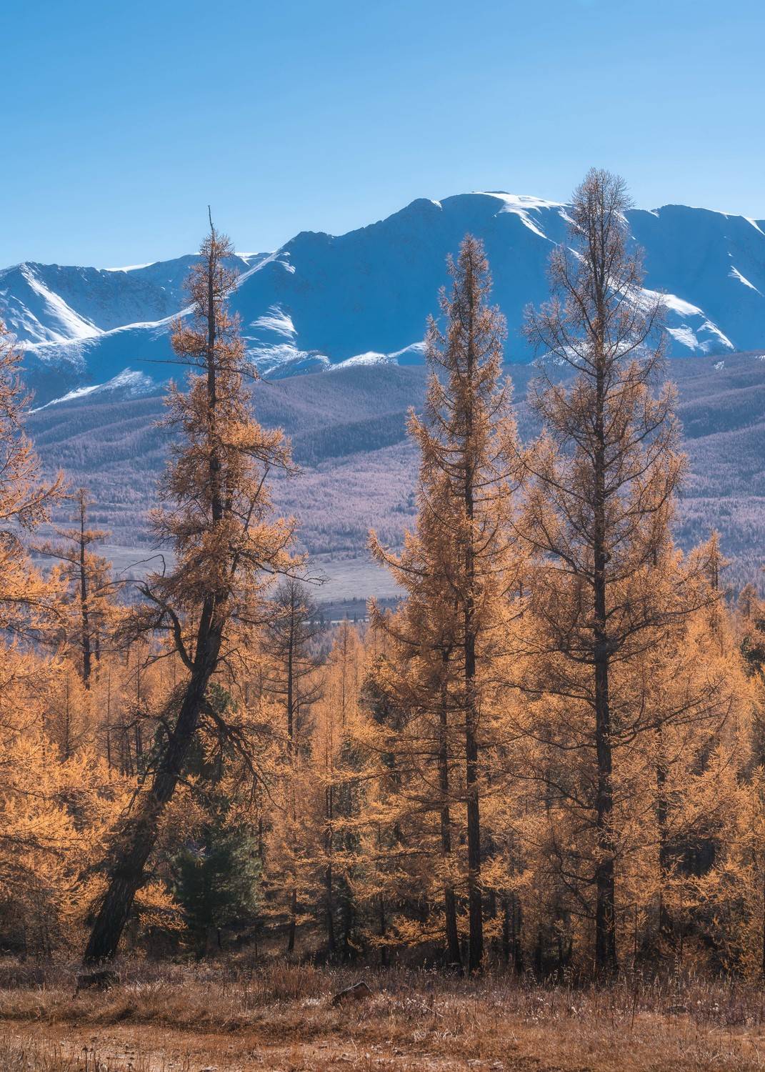 , Евгений Важенин
