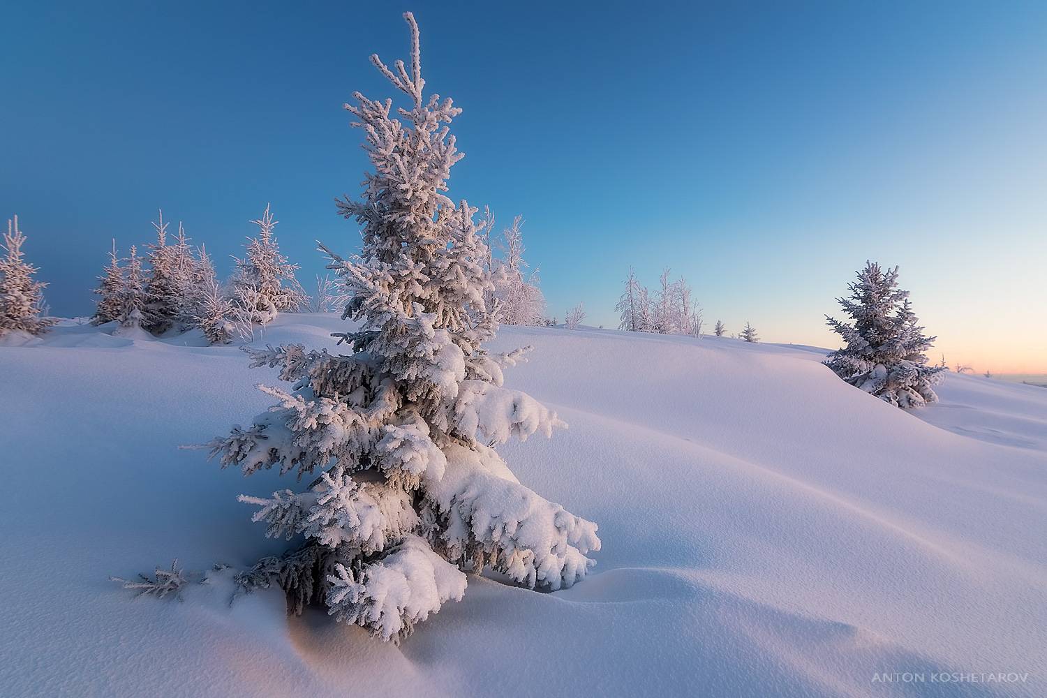 , Антон Кошетаров