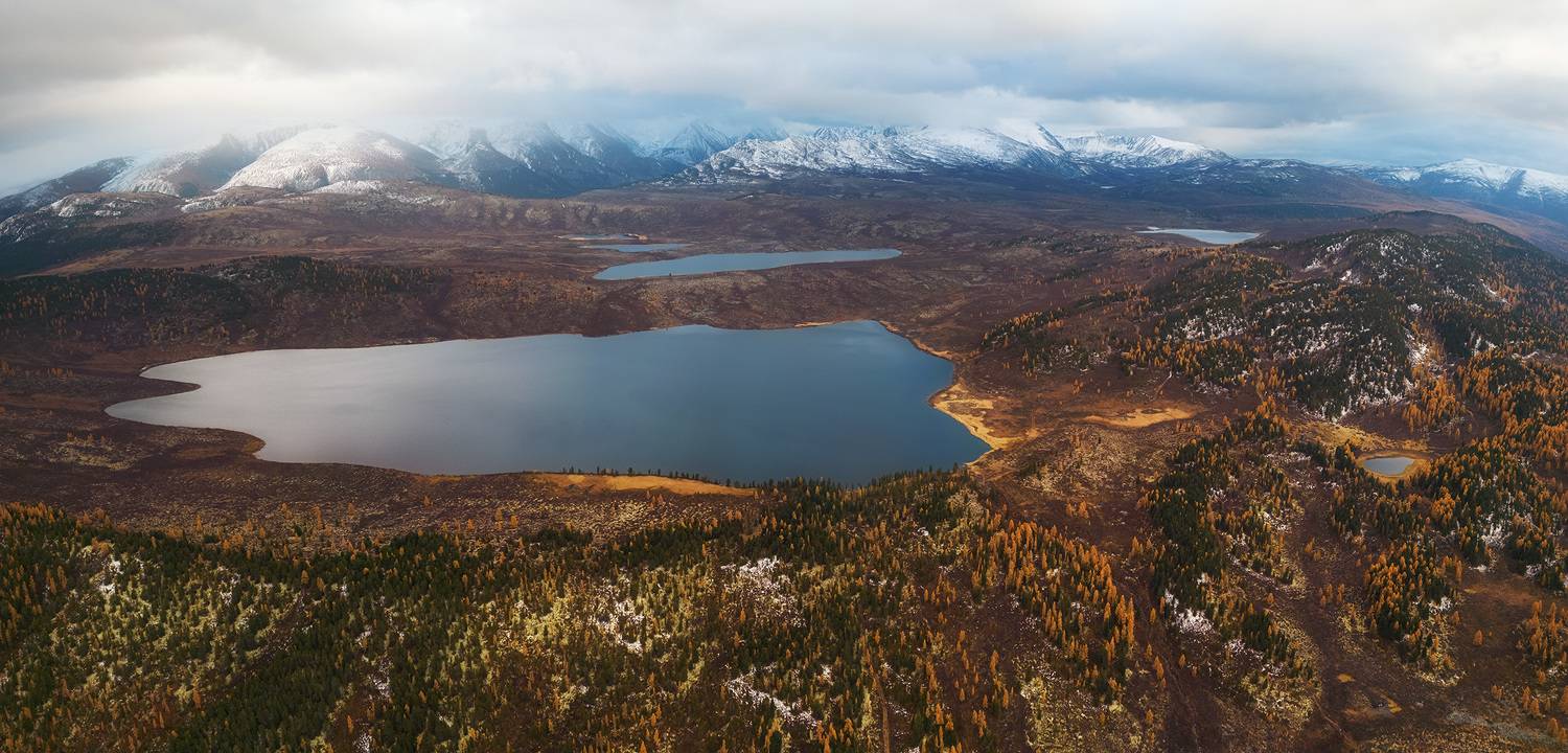 , Лещёнок Александр