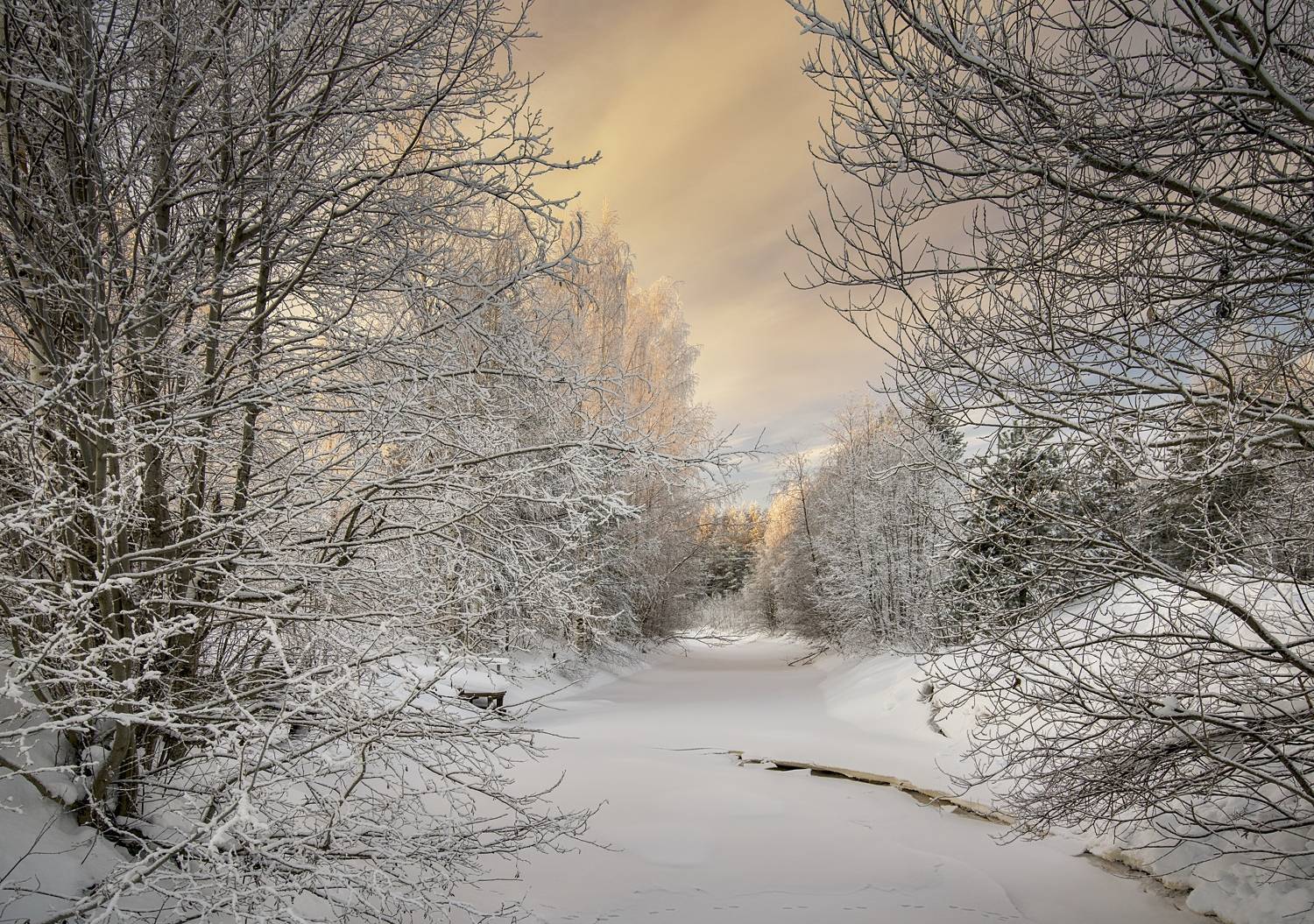 , Шишпанов Игорь