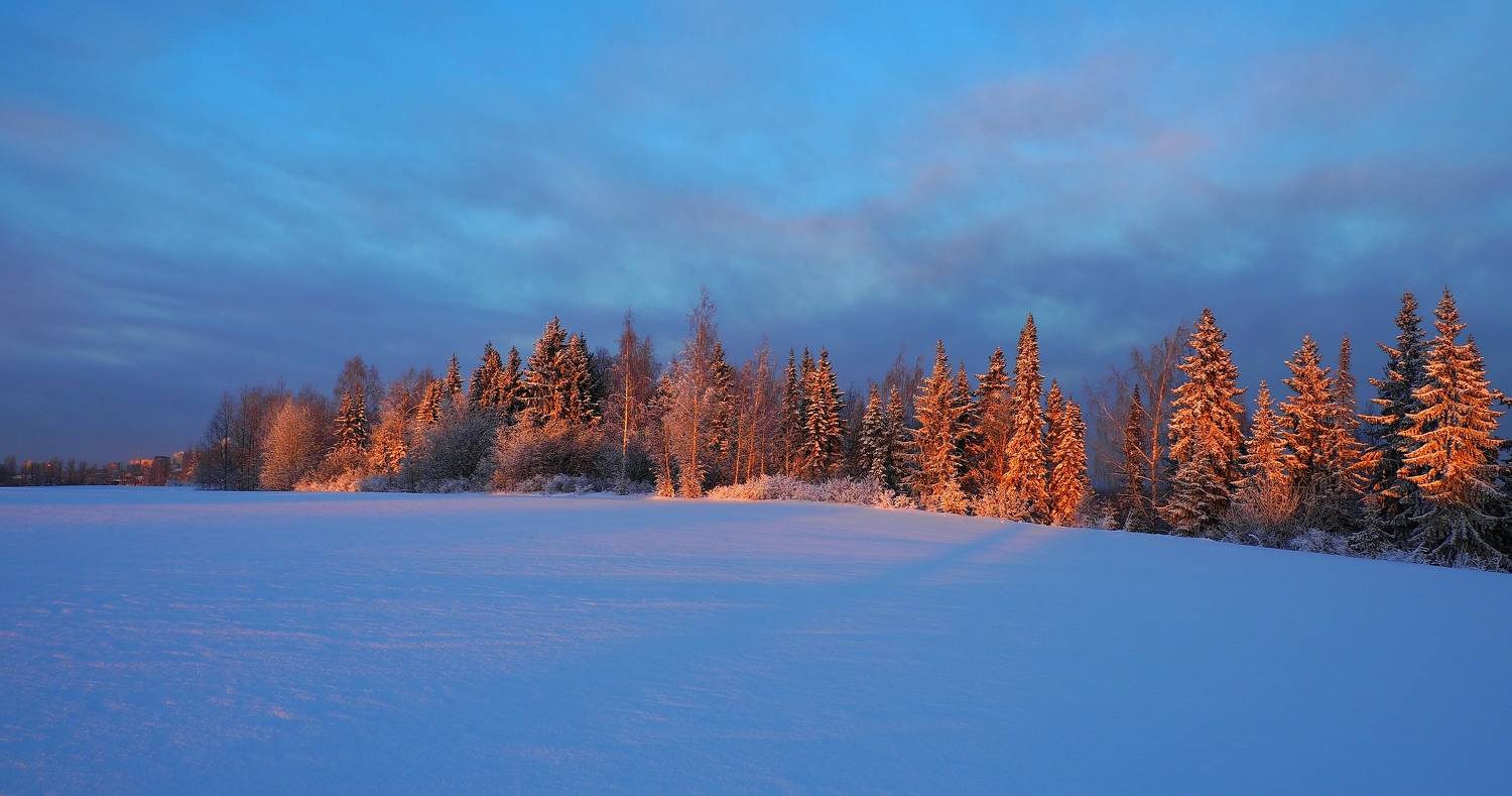 зима, PERESHEIN ANDREY