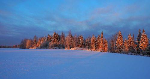 Холодно и красиво