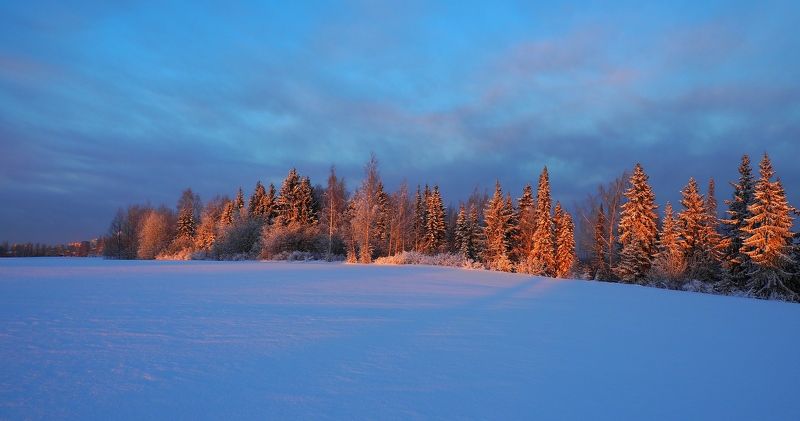 Холодно и красиво фото превью