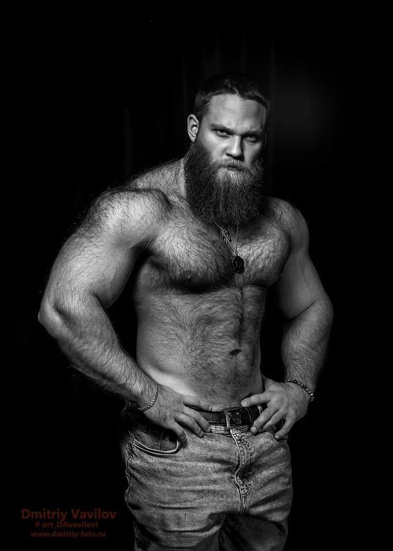 art_davavilovi  фото превью