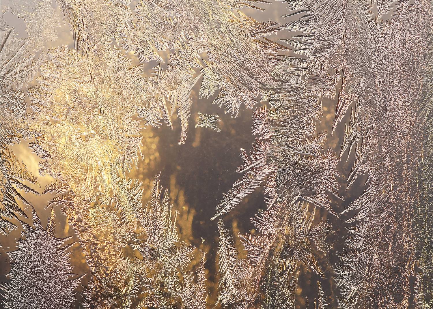 Стело, лёд, мороз, рисунок, Чепленко Алексей