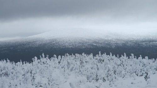 Оттенки севера