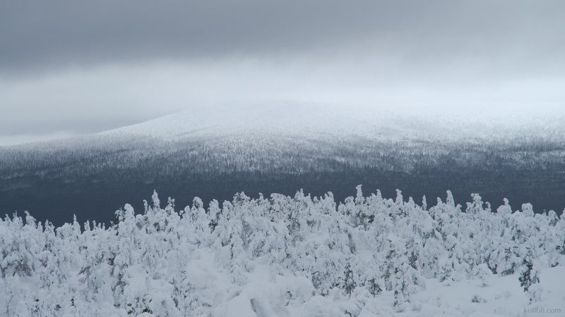 север, кандалакша, кольский полуостров, мурманская область, зима, снег Оттенки севера фото превью