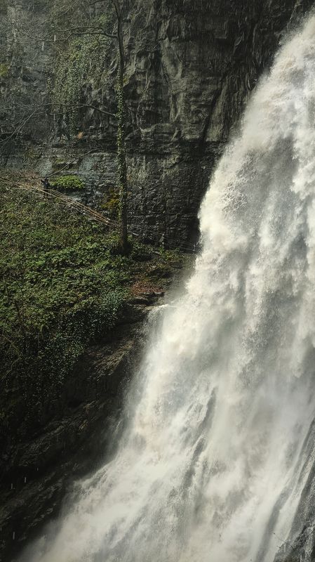 пейзаж, природа, водопад, вода, Абхазия, landscape, water, waterfall, nature 1/2 фото превью